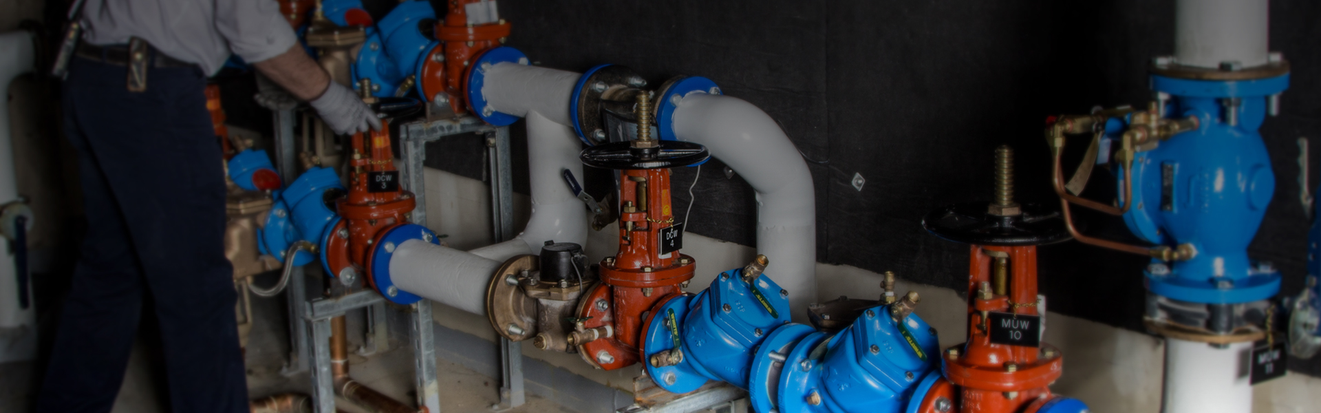 Backflow Education